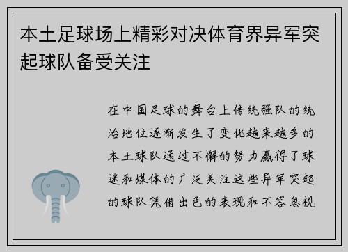 本土足球场上精彩对决体育界异军突起球队备受关注