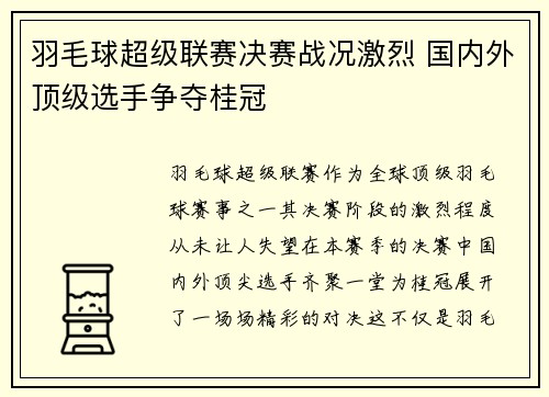 羽毛球超级联赛决赛战况激烈 国内外顶级选手争夺桂冠